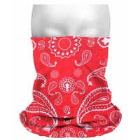 Morf sjaal   boeren zakdoek print   43 x 24 cm   multifunctioneel   cowboy sjaal   hoofddoek