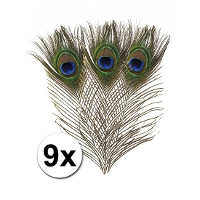 Nepveren/sierveren   Pauwen veren   9x stuks   gekleurd   25 cm