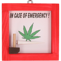 Noodgeval box nep joint 12 cm   Fun en fop artikelen   Emergency box   Stoppen met roken cadeautje