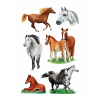 Paarden stickers   3x vellen   16x9 cm   dieren stickervel