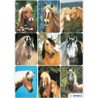 Paardenhoofden stickers   3x vellen   dieren   boerderij   kinderen   agenda