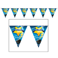 Party Vlaggenlijn Hollywood thema   500 cm   VIP   Oscars   Feestartikelen   Versiering