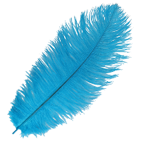 Pietenveer/verkleed veer   35 cm   blauw   voor pieten baret
