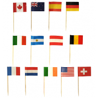 Prikkers Internationale vlaggetjes   500x   Landen vlag cocktailpikkers van vele landen