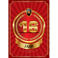 Raamposter deluxe 16 jaar