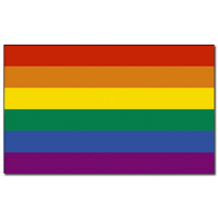 Regenboog kleuren vlag   90 x 150 cm   polyester   met ringen