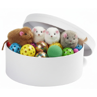 Ronde witte hobby knutsel doos   dozen van karton   14.5 X 5.5 Cm   Hoedendoos   cadeauverpakking
