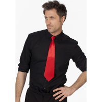Satijnen carnaval verkleed stropdas   rood   41 cm   voor dames/heren   verkleedkleding