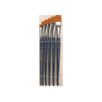 Schmink Penselen set in etui   6 stuks   verschillende formaten   grimeren   schminken