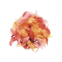 Sierveren   rood tinten   10 gram   decoratie veren   hobby   knutselen