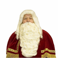 Sinterklaas pruik en baard set   wit haar   heren   met losse snor   Pakjesavond   Goed Heiligman
