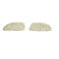 Sinterklaas verkleed wenkbrauwen   buffelhaar   wit   luxe Sint kostuum accessoires