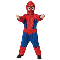 Spinnen held verkleedkleding   voor kinderen/peuters   carnaval kostuum