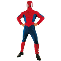 Spinnenheld carnaval verkleedkleding kostuum   voor volwassenen   superhelden pak