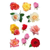 Stickervel met 33x Gekleurde rozen bloemen stickers   kinderstickers   stickervellen   knutselspulle