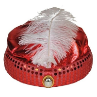 Sultan verkleed hoedje/tulband met veer   rood   1001 nacht/Arabische prins   sprookjes thema feest