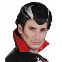 Vampieren verkleed pruik voor mannen   Halloween pruiken   zwart/wit   Carnaval