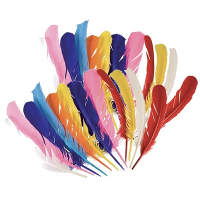 Veren   24x stuks   multi color   30 cm   indianen veer   veer   gekleurde veer