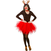 Verkleed accessoire set   Kerst Rendier   4 delig   bruin   polyester   Carnaval verkleedkleding