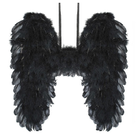 Verkleed accessoires vleugels zwart