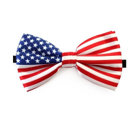 Verkleed vlinderstrikje   landen thema   USA/Amerika   rood/wit/blauw   Amerikaanse vlag