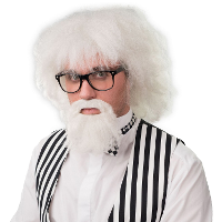 Verkleedpruik met bril voor heren   wit   Professor/oude man   Carnaval   half lang warrig haar