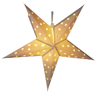 Verlichte kerstster   wit   60 cm   op batterijen   10 leds warm wit?  Papier