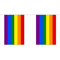 Vierkante regenbogen vlaggenlijn 9 m