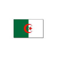 Vlag Algerije   groen/wit/rood   polyester   90x150 cm   landen vlag