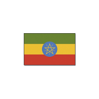 Vlag Ethiopie van 90 x 150 cm   feestartikelen   Landen thema supporters