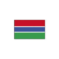 Vlag Gambia van 90 x 150 cm   feestartikelen   Landen thema supporters