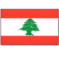 Vlag Libanon   90 x 150 cm   feestartikelen   Landen thema supporters