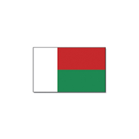 Vlag Madagaskar   90 x 150 cm   Landen thema supporter decoratie artikelen   met ringen
