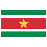 Vlag Suriname   90 x 150 cm   Surinaamse Vlag   Suriname