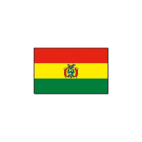Vlag van Bolivia   90 x 150 cm   feestartikelen   landen thema supporter   decoratie artikelen