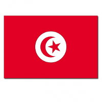 Vlag van Tunesie   90 x 150 cm   feestartikelen   landen thema   supporters versieringen