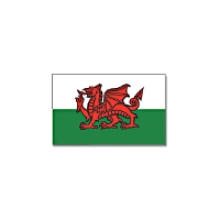 Vlag Wales   wit/groen/rood   polyester   90x150 cm   landen vlag