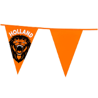 Vlaggenlijn   oranje met leeuw   6 meter   15 vlaggen   kunststof