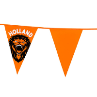 Vlaggenlijn XL   oranje met leeuw   8 meter   14 vlaggen   kunststof