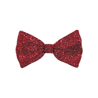 Vlinderstrikje voor kleine hondjes   rood   glitters   10 x 5 cm