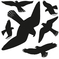 Vogel afweer raamstickers   6x   zwart   op een vel van 30 x 30 cm