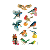 Vogel stickers   3x stuks   stickervellen van dieren