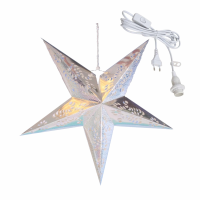 Zilveren kerststerren   60 cm   inclusief lichtkabel