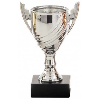 Zilveren trofee beker   eerste prijs   H13 cm   Sportprijs   Metaal