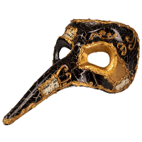Zwart Venetiaans snavel verkleedmasker voor volwassenen   Oogmasker   Gezichtmasker   Carnaval