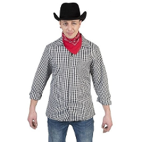 Merkloos Zwart/wit geruit cowboy verkleed overhemd voor heren