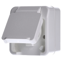 Merten 4074943 AquaStar Compleet Wandcontactdoos met randaarde en klapdeksel spatwaterdicht Polar wit 1 voudig 1 stuk(s)