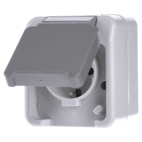 Merten 4074944 AquaStar Compleet Wandcontactdoos met randaarde en klapdeksel spatwaterdicht Lichtgrijs 1 voudig 1 stuk(s)
