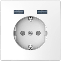 Merten MEG2366 6036 Inzetstuk System Design RVS 1 stuk(s)