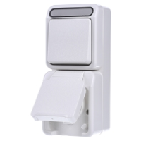 Merten 4074998 AquaStar Compleet Schakel /stopcontact combinatie spatwaterdicht Polar wit 1 stuks 1 stuk(s)